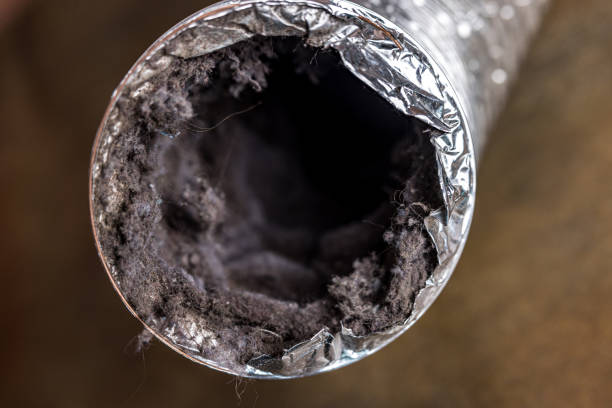 Best Professional Duct Cleaning Services  in Benson, NC